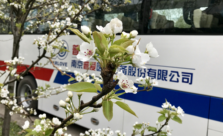 首页- 平博(Pinnacle)中国公司官网